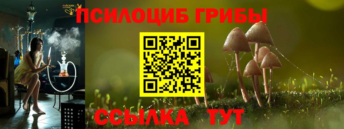 купить  сайты  Вход с VPN  Лысьва  Галлюциногенные грибы прущие грибы 